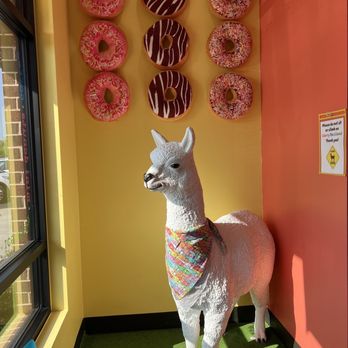 Sugar Llamas - Cute photo op - Donuts Near Me - Keller, Texas