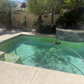 Splash - Green and disgusting - Pool Cleaners Near Me - Henderson, Nevada Splash - Green and disgusting - Pool Cleaners Near Me - Henderson, Nevada