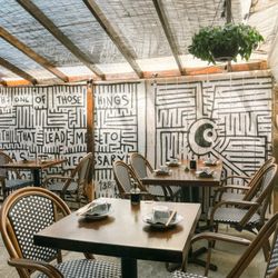 Trad Room - Backyard