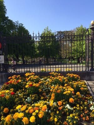 Reformation Wall by null