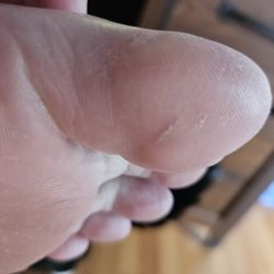 Venus Nail Salon