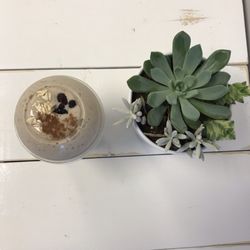 The Nutrition Post