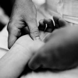 Shiatsu-Susanne Eichhammer