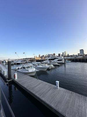 Pier 6 by null