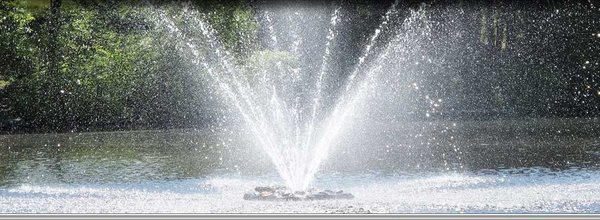 Savin Michigan SAVIN LAKE SERVICES - Updated July 2026 - 14 Photos - 3088 Hottis Rd ...