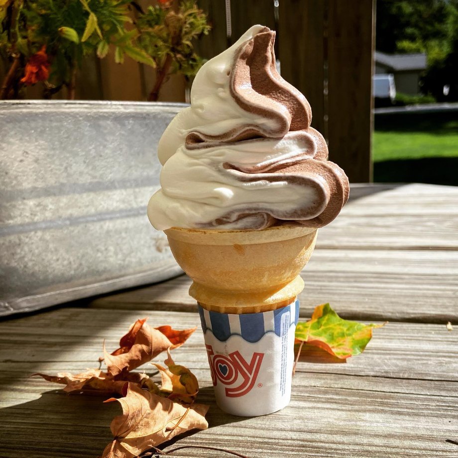 Lake Ann Corner Cone Logo