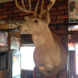 Ten point buck