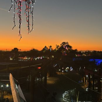 Zoolights - View from walkway - A hanging decorative light fixture with dangling branches is visible against a sunset sky, with outdoor holiday lights and trees in the background. - Zoos Near Me - Phoenix, Arizona