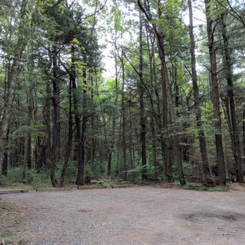 Pharsalia Forest - Parking (4 general spots) - Public Services & Government Near Me - South Plymouth, New York Pharsalia Forest - Parking (4 general spots) - Public Services & Government Near Me - South Plymouth, New York