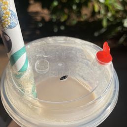 That plastic was inside my drink and I almost swallowed it! That plastic was inside my drink and I almost swallowed it!