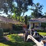 Bam Tree Service