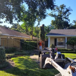 Bam Tree Service