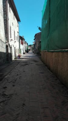 Isola Maggiore by null