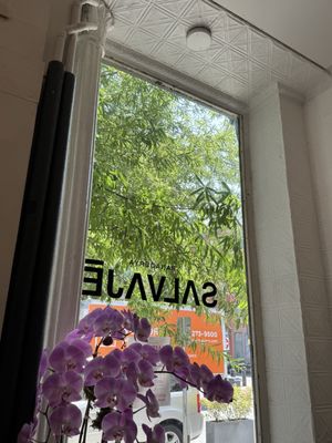 Panaderya Salvaje by null