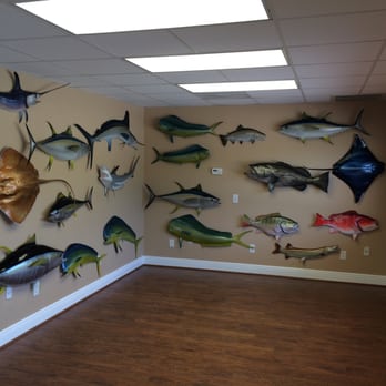 Mount This Fish Company - North room in showroom area - There is normally 25-30 fish mount replicas in this room - Taxidermy Near Me - Rockledge, Florida