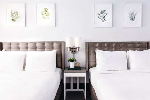 Tilden Hotel by null