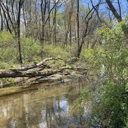 Chapman DeMary Trail