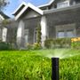 Photo of Kings Irrigation