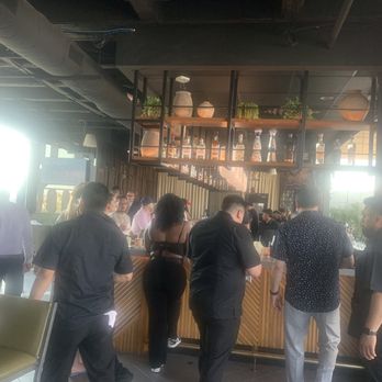 Monkey Bar on 9 - Inside - Bars Near Me - Dallas, Texas