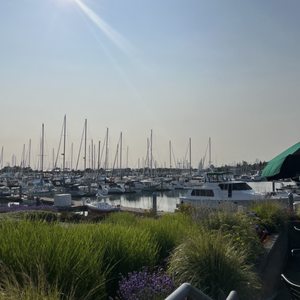 ANTHONY’S HEARTHFIRE GRILL – SQUALICUM HARBOR - 274 Photos & 273 ...