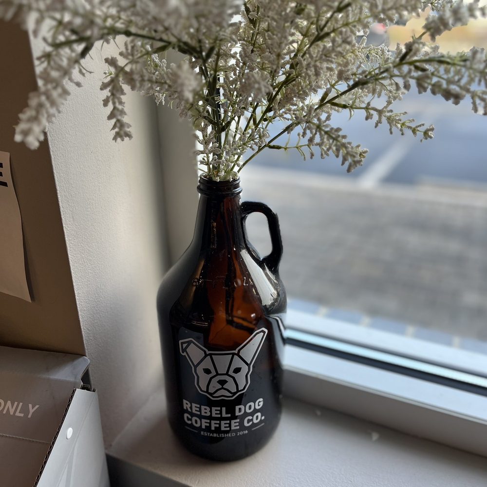 Rebel Dog Coffee Co. FARMINGTON - Some baby's breath by the window - Coffee & Tea Near Me - Farmington, Connecticut Rebel Dog Coffee Co. FARMINGTON - Some baby's breath by the window - Coffee & Tea Near Me - Farmington, Connecticut