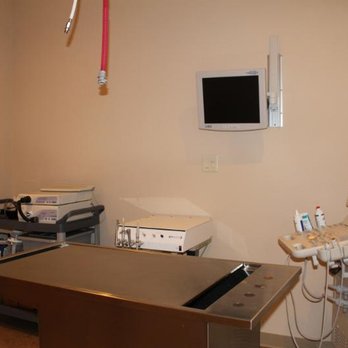 Grey Cove - Veterinarians Near Me - Dieppe, New Brunswick Grey Cove - Veterinarians Near Me - Dieppe, New Brunswick