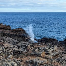blowhole