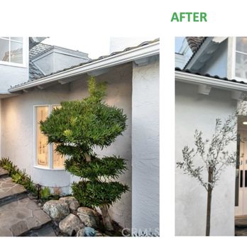 Fresh Stucco Plastering - Before & After - Stucco Services Near Me Fresh Stucco Plastering - Before & After - Stucco Services Near Me