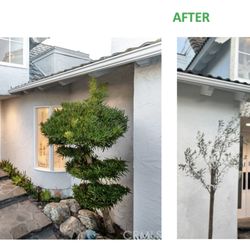 Fresh Stucco Plastering - Before & After