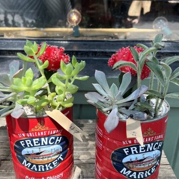 DIRT Flowers - Love This! (June, 2023) - Florists Near Me - Dallas, Texas DIRT Flowers - Love This! (June, 2023) - Florists Near Me - Dallas, Texas