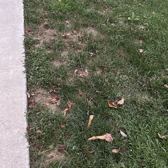 Arbor-Nomics Turf, Inc. Lawn Care Services & Grass Treatment - Our Lawn after 1 year and a half with arbor-Nomics - Pest Control Near Me - Norcross, Georgia