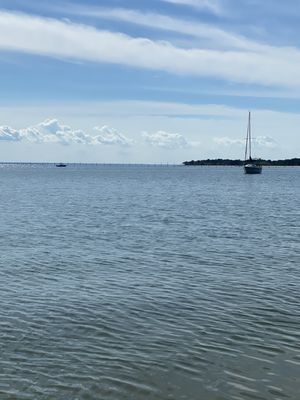 Point Lookout State Park by null