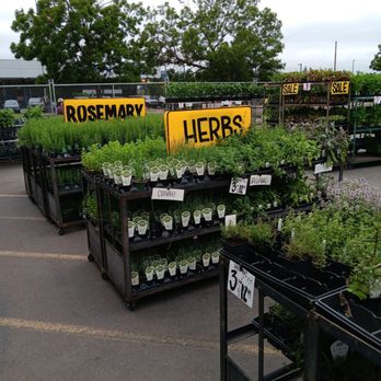 Carpinito Brothers - Nurseries & Gardening Near Me - Kent, Washington Carpinito Brothers - Nurseries & Gardening Near Me - Kent, Washington