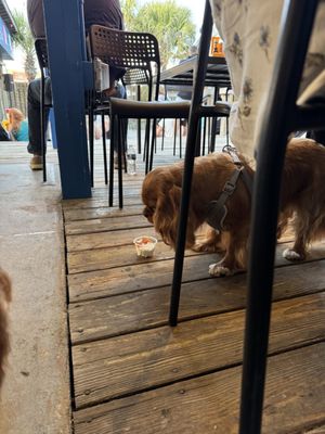 SeaWitch Cafe & Tiki Bar by null