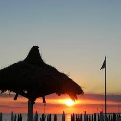 Il Cavalluccio Marino