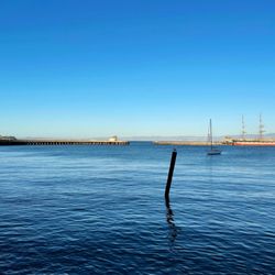Aquatic Park Cove - Dec. 2023