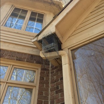 Critter Removal Ohio - An exclusionary door for Raccoon treatment - one of many methods to resolve a Raccoon issue - Wildlife Control Near Me - Columbus, Ohio Critter Removal Ohio - An exclusionary door for Raccoon treatment - one of many methods to resolve a Raccoon issue - Wildlife Control Near Me - Columbus, Ohio