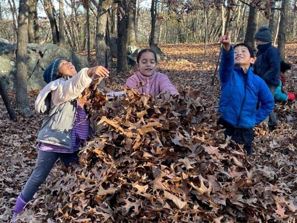 WALDORF SCHOOL OF LEXINGTON Updated October 2024 11 Reviews 739
