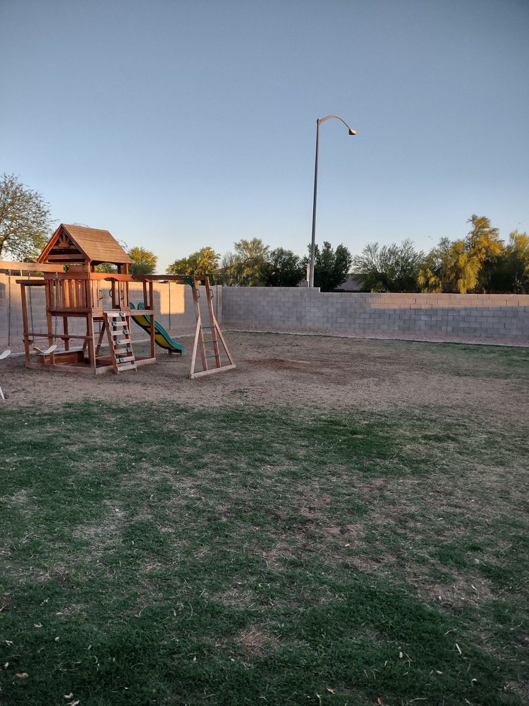 JC’s Tree Removal & Stump Grinding - tree service in Gilbert, AZ