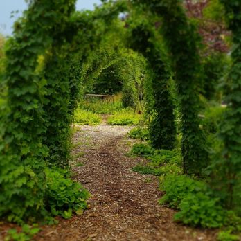 The Apple Farm - Fruits & Veggies Near Me - Philo, California