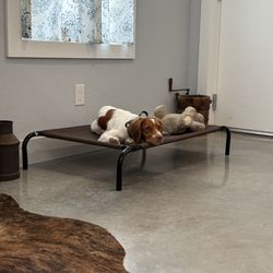 Blue Moon K9 Training - Sitting "on place"