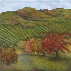 Talacona Gallery and Studio - Watercolors by Fine Artist Maria Talacona, Benicia