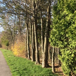 Travis Hill Park - Into The Woods