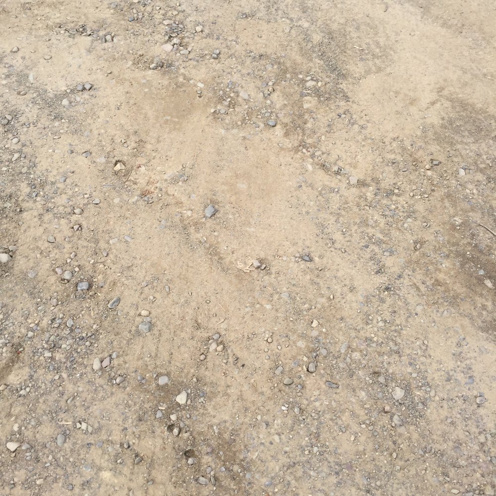 Dirt...the best thing around here. Dirt...the best thing around here.