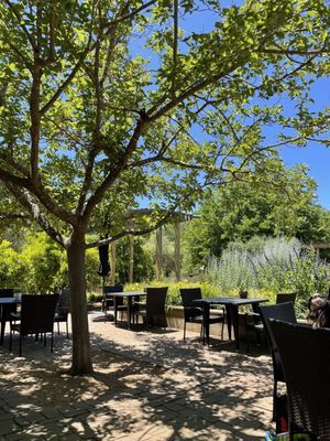 Truett Hurst Winery by null