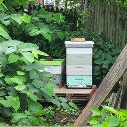 Shadyside Nursery