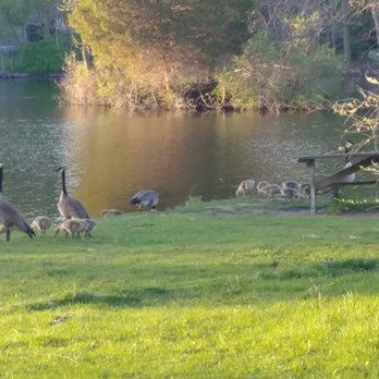 Stuart's Landing - Stuart’s Landing, Marshall MI - Parks Near Me - Marshall, Michigan