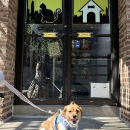 Lady's last day of daycare. Lady's last day of daycare.