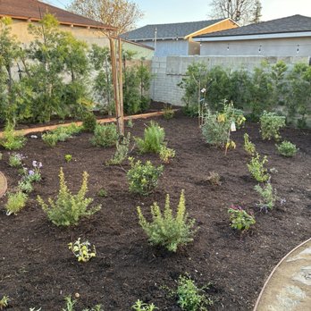 Hope Gardens - Beautiful space for pollinator plants - Gardeners Near Me Hope Gardens - Beautiful space for pollinator plants - Gardeners Near Me