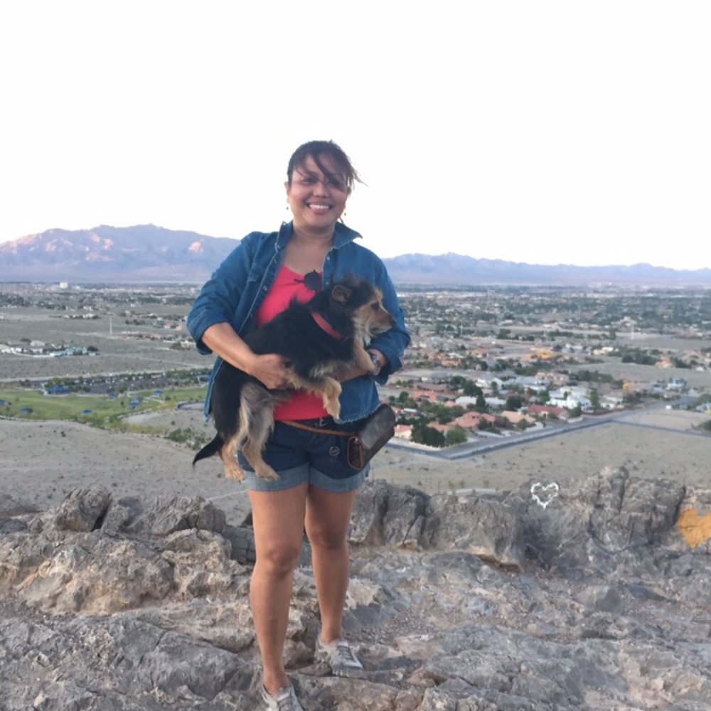 Lone Mountain Discovery Park - Playgrounds Near Me - Las Vegas, Nevada